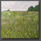 A meadow in spring 80x80cm